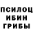 Псилоцибиновые грибы Magic Shrooms Sofika A_la_Sofa